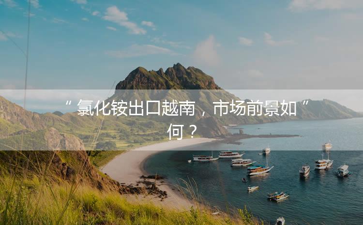 氯化銨出口越南，市場(chǎng)前景如何？